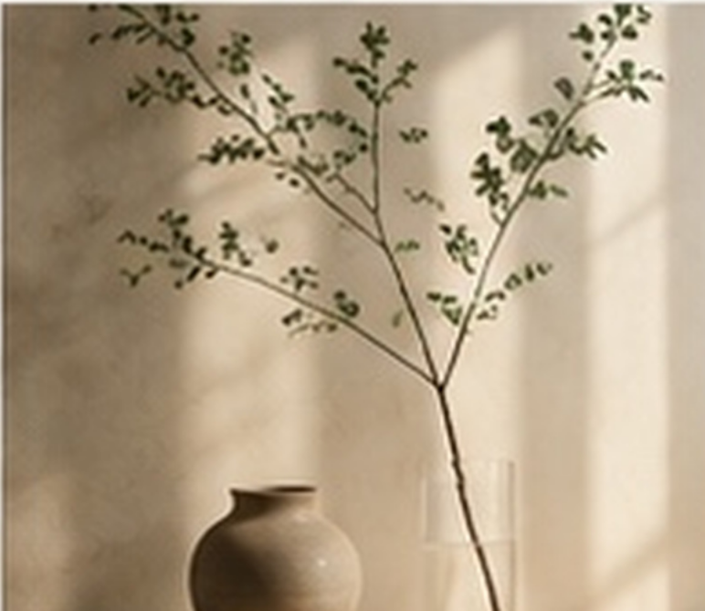 Branche feuillue et vase en céramique dans la lumière